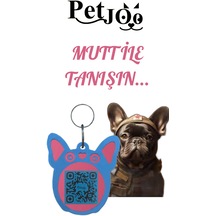 Petjoo 1.mutt Üst Renk Mavi Alt Renk Pembe Qr'lı Köpek Künyesi