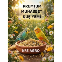 Nfs Agro Lüks Premium Muhabbet Kuşu Yemi 1 KG