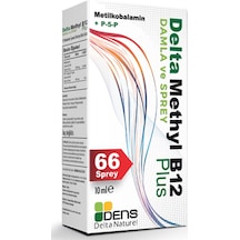 Methyl B12 Plus 10Ml 66 Spray
