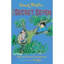 Secret Seven: Secret Seven Adventure: Book 2