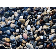 Akvaryum Dere Çakılı 1kg (5-8 Mm)