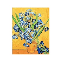 Van Gogh Süsen Sayılarla Boyama Seti - Çerçeveli, 40x50cm