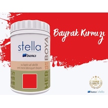 Stella Su Bazlı Saf Akrilik Boya 1 Litre Diğer