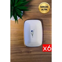 Çok Renkli
