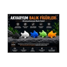 Mini Sevimli Balıklar 5 Adet