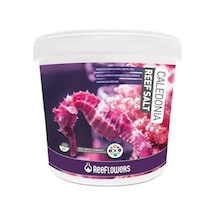 Reeflowers Caledonia Reef Salt 22.5Kg