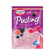 Orman Meyveli Puding 81gr