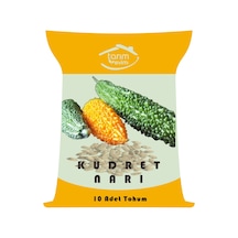 Kudret Narı Tohumu 10 Adet Tohum