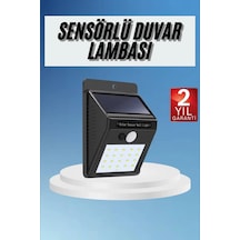 Dekoratif Lamba Güneş Enerjili Aydınlatma Dış Mekan Lambası 42469526