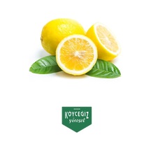 Kb Köyceğiz Yöresel Köyceğiz Limonu 1 KG