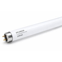 Splendor Tl-d90 Graphica 22w/965 Floresan 150 Cm