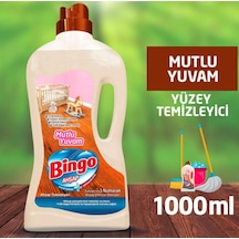 1 L
