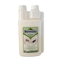 Bermuda Ew Akrep, Kene, Tahtakurusu 1 L