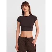 Dilvin 31810 Bisiklet Yaka Crop T-shirt-koyu Kahve Koyu Kahve