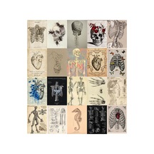 20'li A5 Gotik Fairycore Mistik Poster Seti Dark Aesthetics Cadı Ve Mantar Duvar Afişi