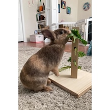 Bunny Tree Ahşap Tavşan Foraging Oyuncağı, Doğal Çam, Zihinsel Uyarım