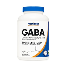 Gaba With B6 - 500 Mg Gaba 2 Mg B6 - 240 Capsules