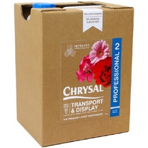 Chrysal Professional 2 Bag-in-box 10l