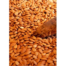 Acı Kayısı Çekirdeği 500 Gr / Yarım Kg Diğer