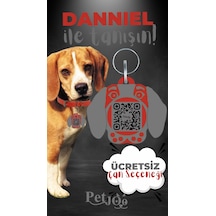 Petjoo 21.Danniel Gri-Kırmızı Qr'lı Köpek Künyesi