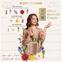 Lumenascent Elysia 100 Ml Parfüm - Beauty The World Özel Seri - Kalıcı İmza Koku Aromatik
