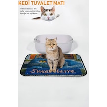 Kedi Kum Paspası - Kedi Yuvası Paspası