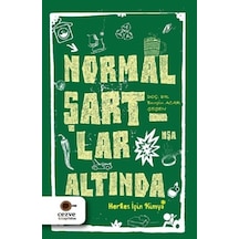 Normal Şartlar Altında