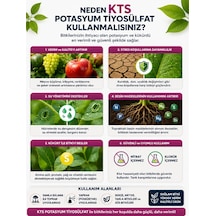 Gübretaş Kts Potasyum Tiyosülfat 5lt 5 LT