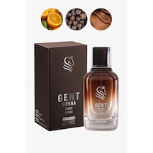 Gent Tierra Odunsu Uzun Süre Kalıcı 100 Ml Edp Erkek Parfüm Amber