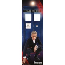 New Doctor & Tardıs Door Poster