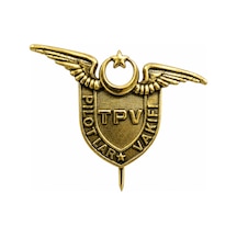 Rozet "pilotlar Vakfı" Sarı