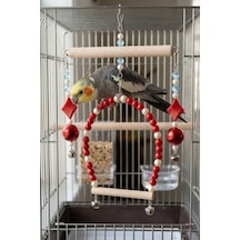 Mivra Pets Sultan Papağanı Kafes Oyuncağı