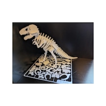 T-rex 3d Dinozor İskelet Maketi