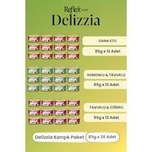 Reflex Plus Delizzia / Sos İçinde Parça Etli Karışık Yetişkin Kedi Maması 85g X 36 Adet