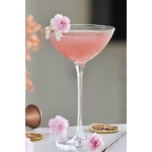Nude Savage 2 Li Coupetini Kadeh Seti 67286 -170 Cc