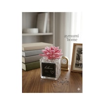 Dekoratif Sukulent Yapay Çiçek Cam Saksı Taşlı Pembe Minimal Masa Üstü Ev & Ofis Dekoru