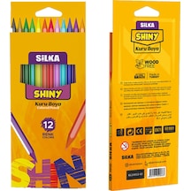 Silka 12 Li Hex Shıny Gövde Boyalı Kuru Boya Çok Renkli