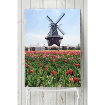 Hollanda Manzara Posteri 2