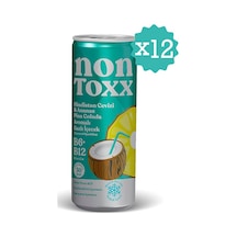 Nontoxx Hindistan Cevizi & Ananas Aromalı, Sirkeli, Gazlı İçecek 250 Ml