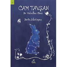 Cam Tavşan-Bir Hıdırellez Günü - Berfin Sıla Kepez - Elma Yayınevi