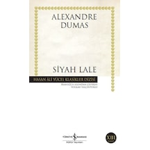 Siyah - Hasan Ali Yücel Klasikleri - Rxlu-602454