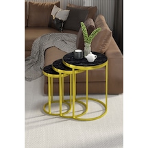 Zigon Sehpa C Lüx Gold Bendir Çok Renkli