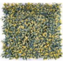 Yapay Çay Bitkisi Tabaka Sarı 50x50 Cm. Uv Korumalı - Dış Mekan Uyumlu Çok Renkli
