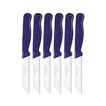 Lı Meyve Ve Sebze Kesme Bıçağı Seti Paslanmaz Çelik Ergonomik Saplı Keskin Ve Pratik Kullanım Çok Renkli