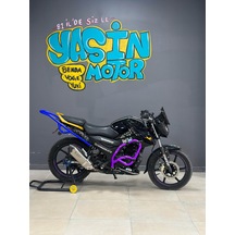 Tvs Raider Ön 3lü Koruma Demiri Mor