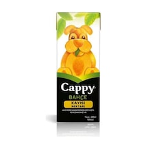 Kayısı Meyve Suyu 200 Ml.