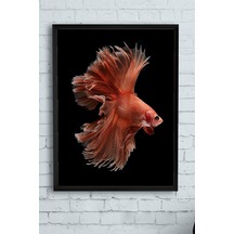 Tr Sanatsal Balık Hayvan Çerçeveli Tablo 50x70cm