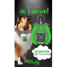 Petjoo 23.Lad Yeşil-Gri Qr'lı Köpek Künyesi