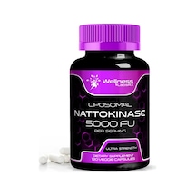 Wellness Labs Lipozomal Nattokinase 120 Kapsül