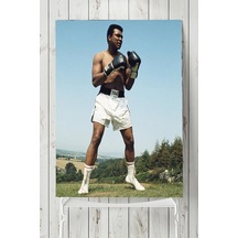 Muhammed Ali Dövüş Posteri 2